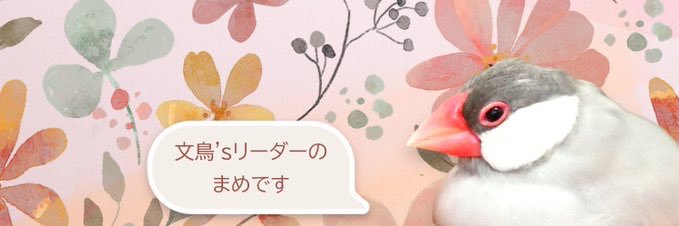 文鳥好きのとうふもち。 banner