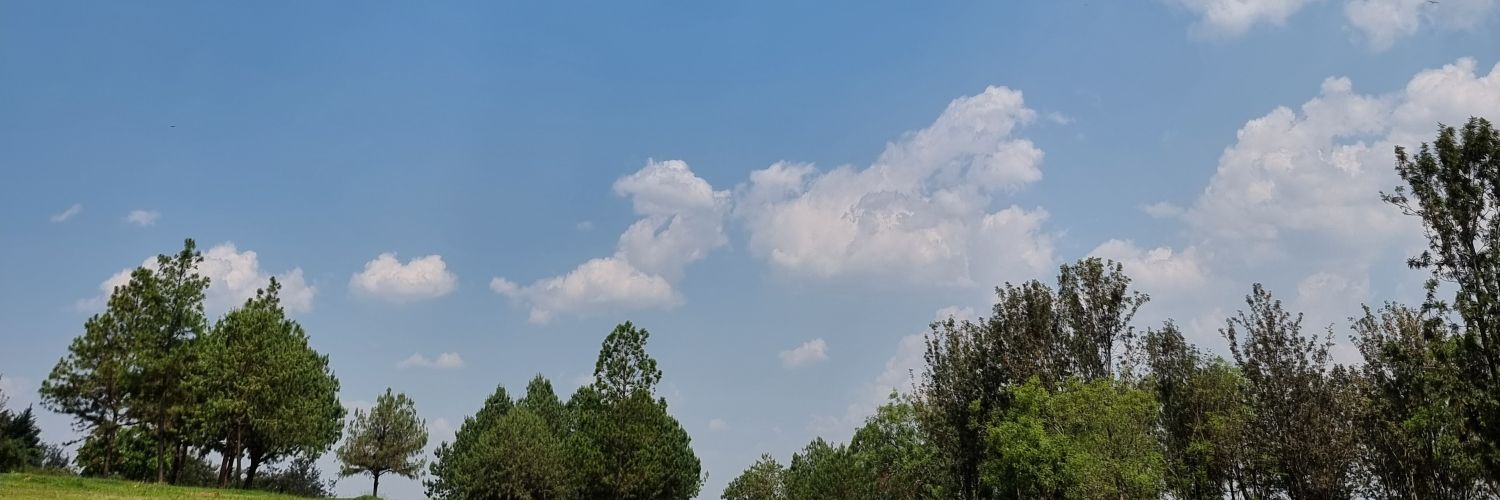 𝗟!𝘀𝗮 𝗥𝗼𝗺𝗮𝗻𝘀 𝗔𝘄𝗼𝗿𝗶 ❤︎ banner