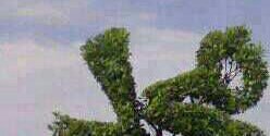 riyaz1872's profile banner image