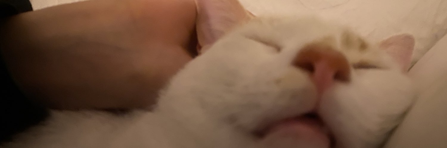 CurlsBxtch's profile banner image