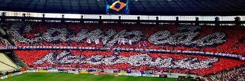 Ribeirosdl's profile banner image