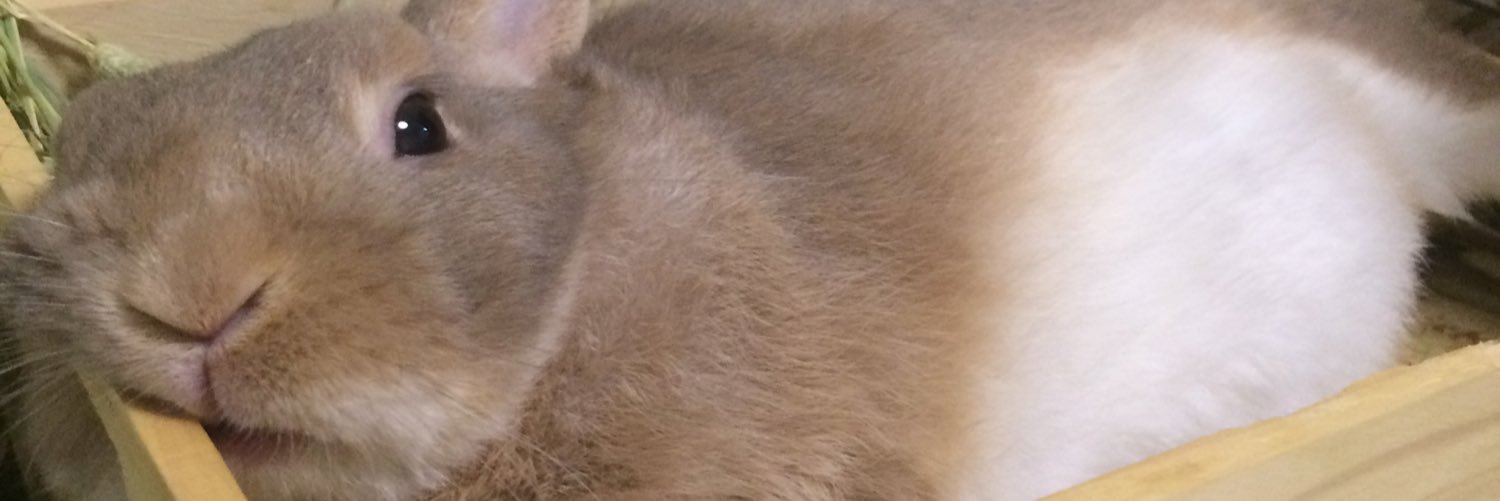 mi-taa banner