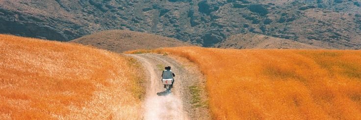 Mostafa S. Joo banner