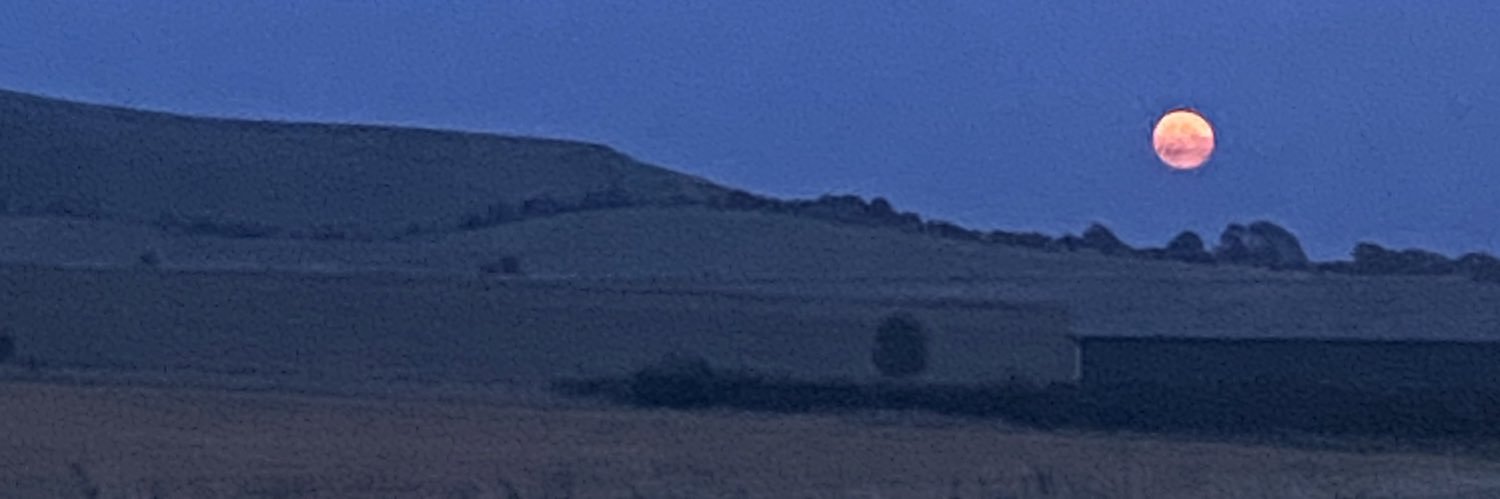 Holly Scott-Donaldson banner