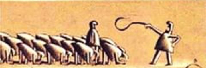 licYiberBernabe's profile banner image