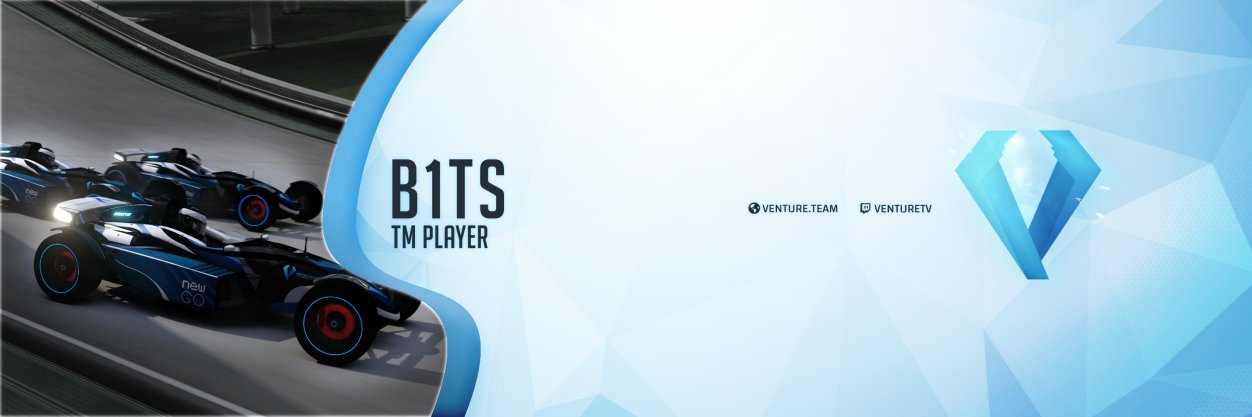 Irmantas Liepis banner