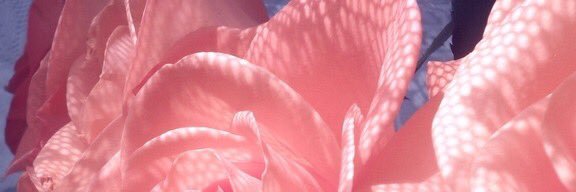 kinstar__'s profile banner image