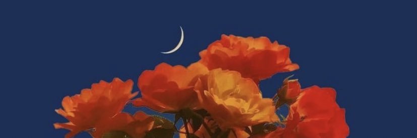 bungaalily's profile banner image