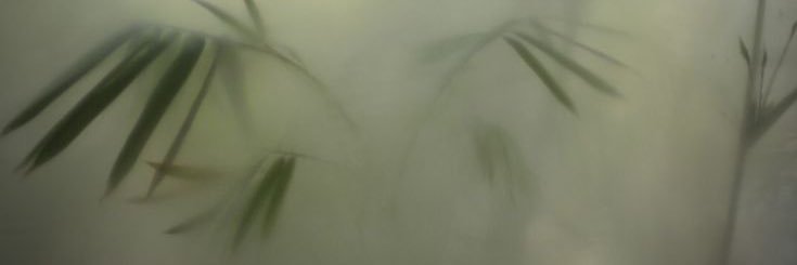 iilnvbds's profile banner image