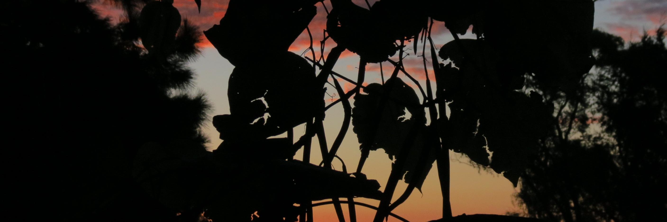Lburzaco's profile banner image