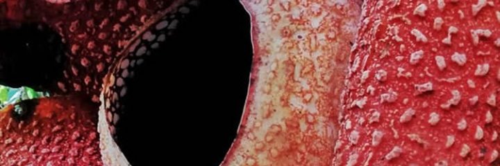 winiweni's profile banner image