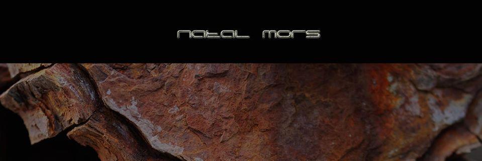 NatalMors's profile banner image