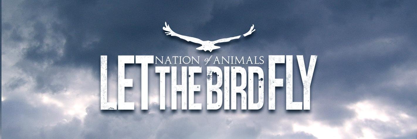 NationOfAnimals's profile banner image