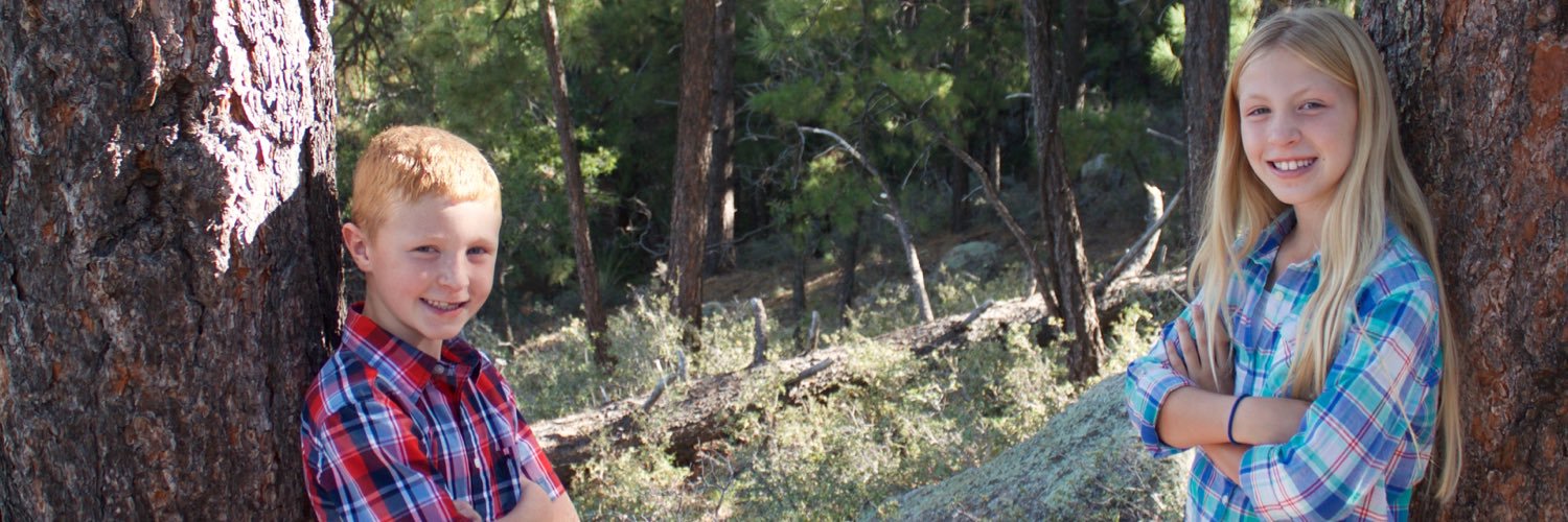 gregorysumsion's profile banner image