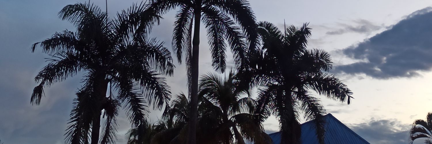 xfelipeo's profile banner image