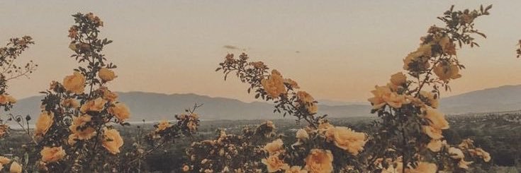 cassymusick's profile banner image