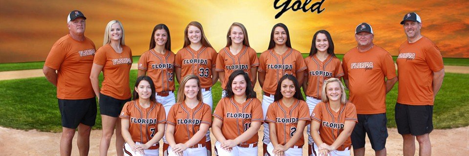 FLGoldSoftball's profile banner image
