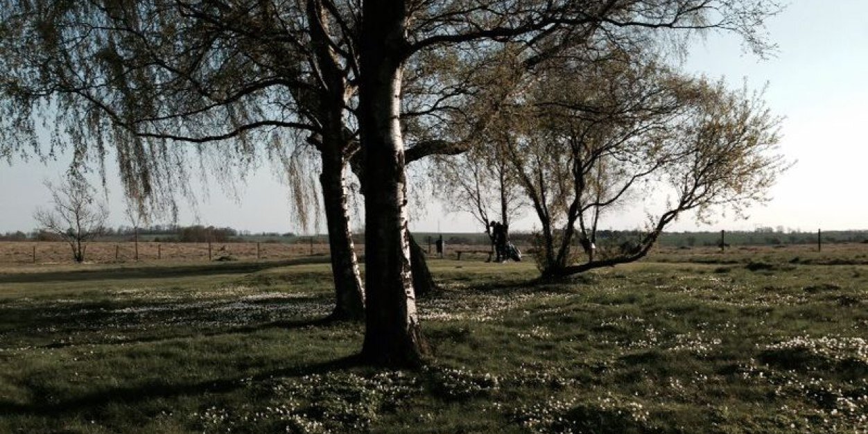 NilssonGolf's profile banner image
