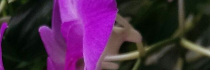 ztopoglu's profile banner image