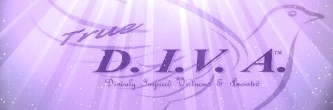 True1D1VA's profile banner image