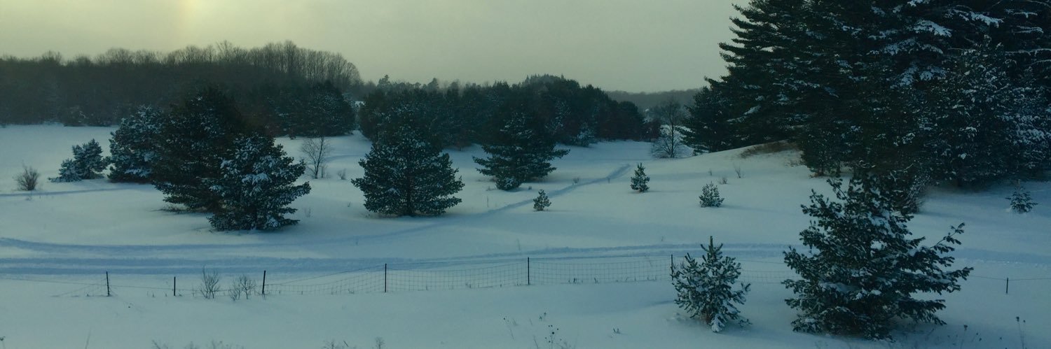 thecwilder's profile banner image