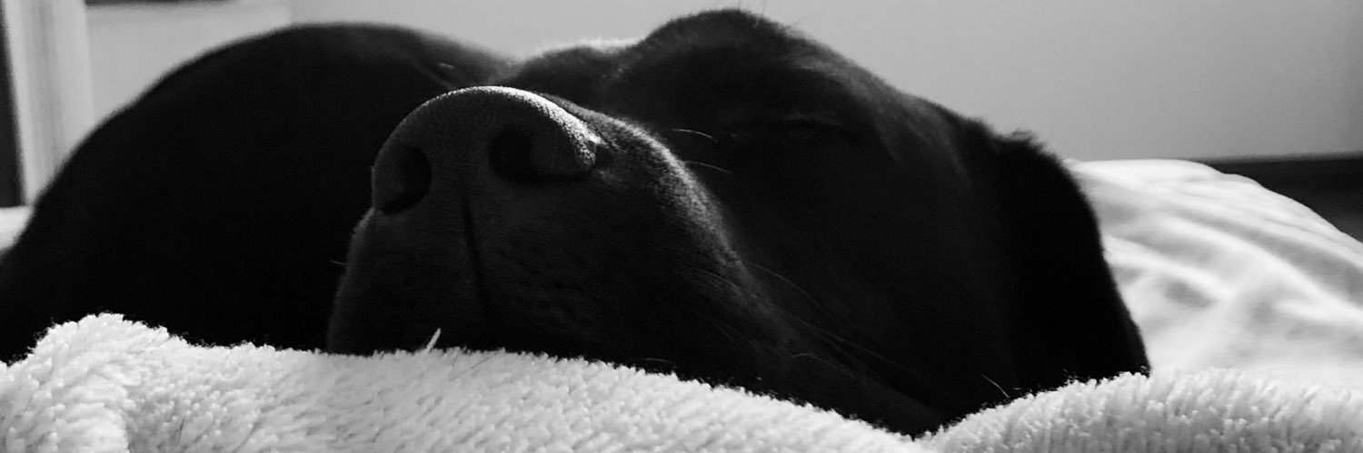 BarbaraLetro's profile banner image