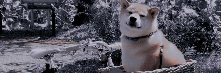 saracrdt's profile banner image