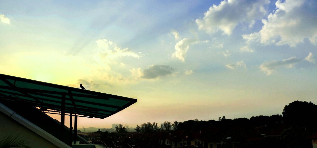 OzTrinity's profile banner image
