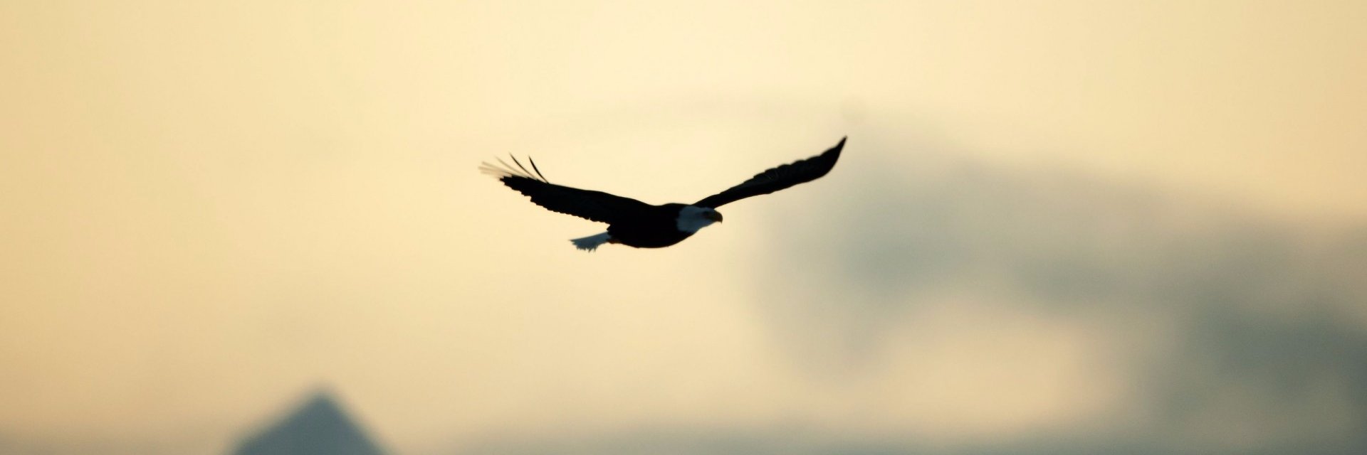 empaticka's profile banner image