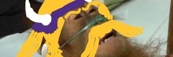 CJankin4's profile banner image