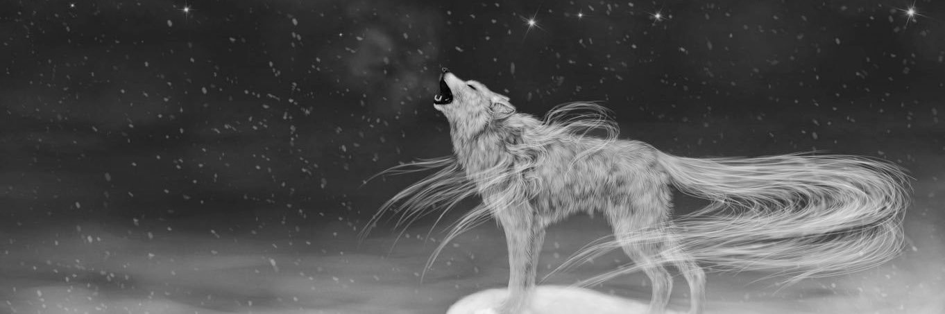 ehdaaq's profile banner image