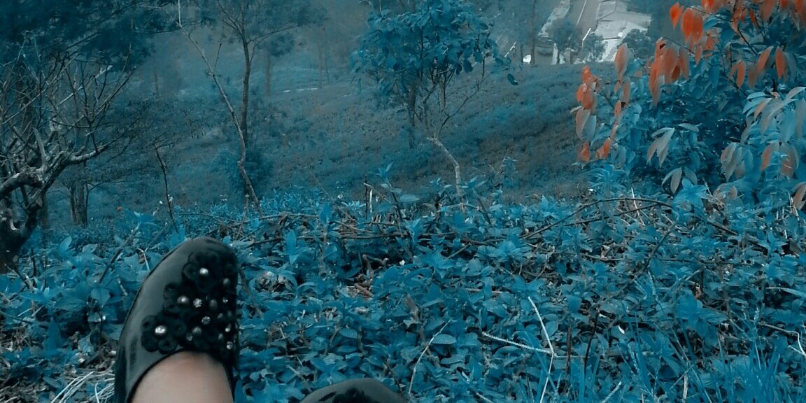 JiiPujay's profile banner image