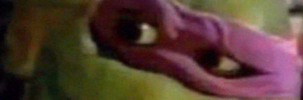 PinePoppa's profile banner image