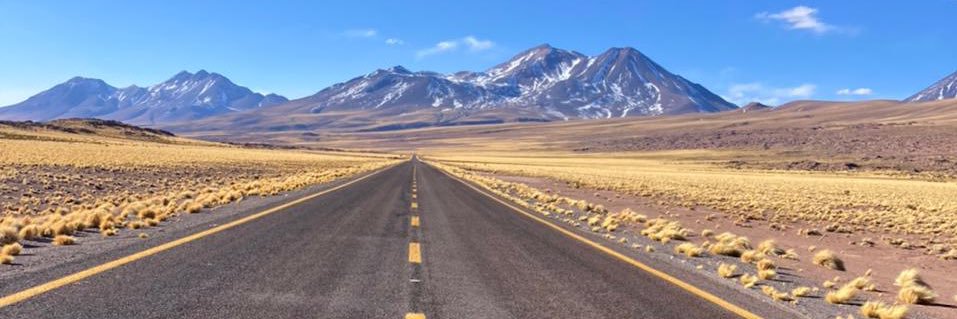 Delfina Lawson banner