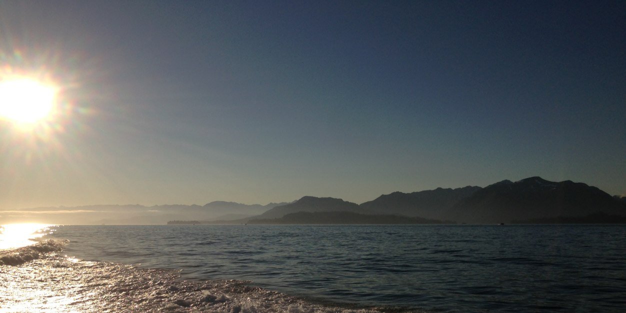 fishking15's profile banner image