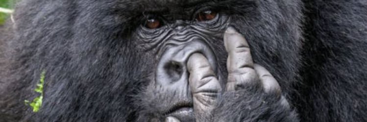 mayutubaclinic's profile banner image