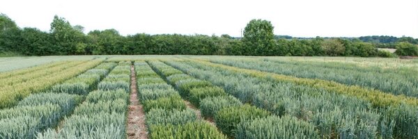 Agri_Tech_E Profile Banner