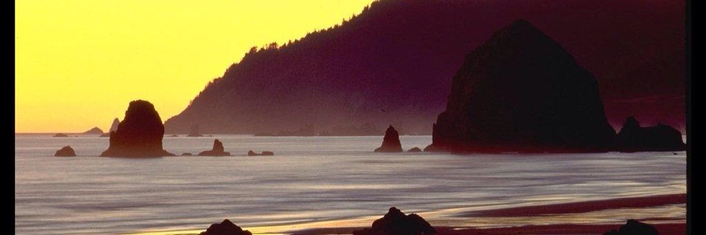 Josh Henderson banner