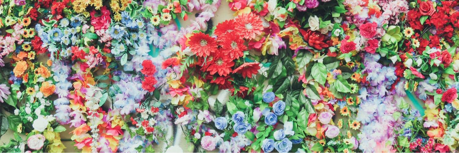 Phoebe Chibuzo Hugh banner