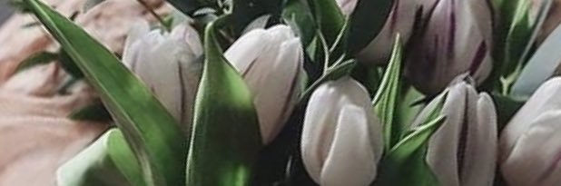 halom_10's profile banner image