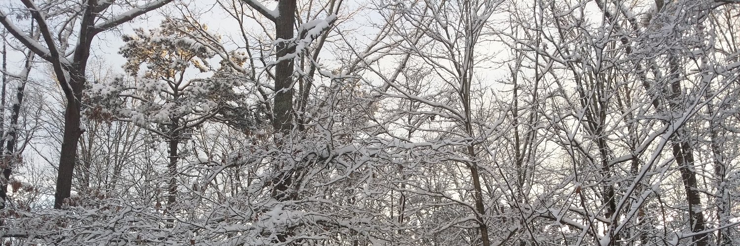 0ryan69's profile banner image