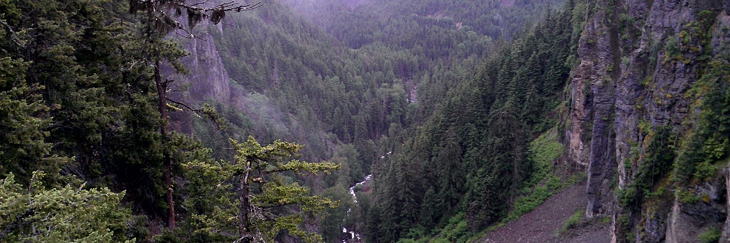 cleve66's profile banner image