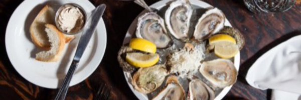 TheWhalesbone Profile Banner