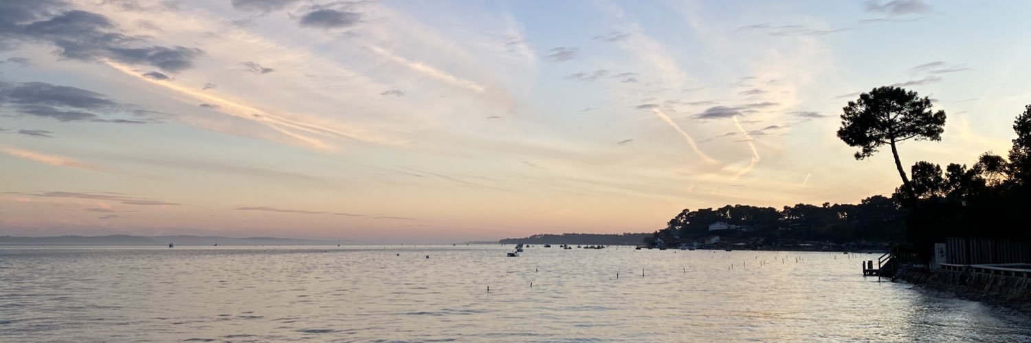 pierre_dvs's profile banner image