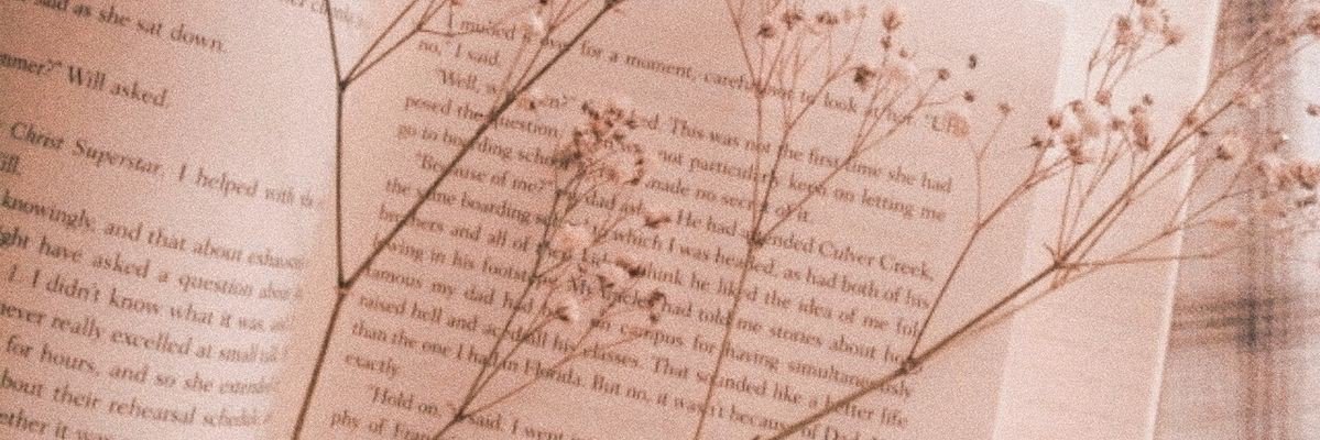 EdithD95's profile banner image
