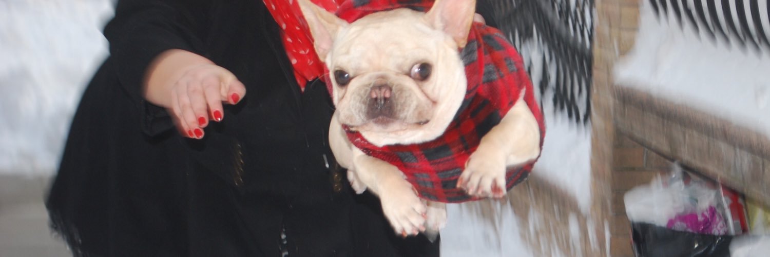 turtlebatpig's profile banner image