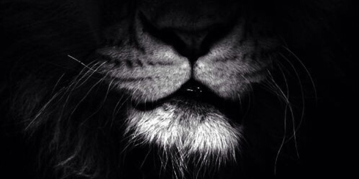 AdrianRCGordon's profile banner image