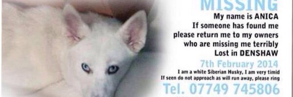 HelpFindAnica Profile Banner