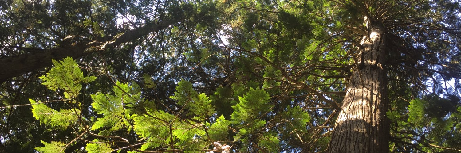 nerdlovesnature's profile banner image