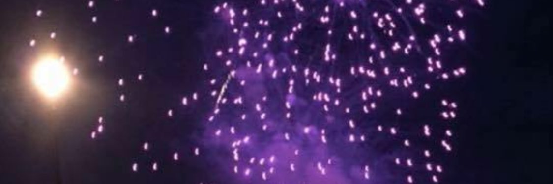 StephNich78's profile banner image